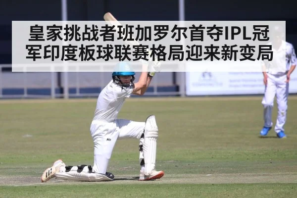 皇家挑战者班加罗尔首夺IPL冠军印度板球联赛格局迎来新变局
